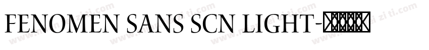 Fenomen Sans SCN Light字体转换